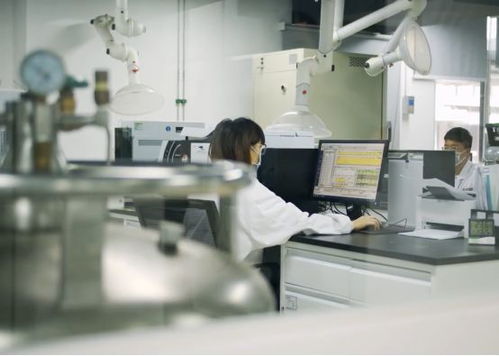 生產活力有序恢復，儀器儀表綜合服務與物聯網應用雙輪驅動助力企業提質增效